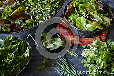 Assorted bowls filled with a variety of freshly harvested leafy greens Stock Photo
