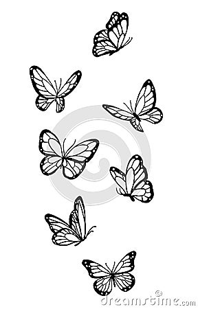 Butterfly Drawing Outline Aesthetic, Vector Unique Pattern, Sketch Line art Vector Illustration