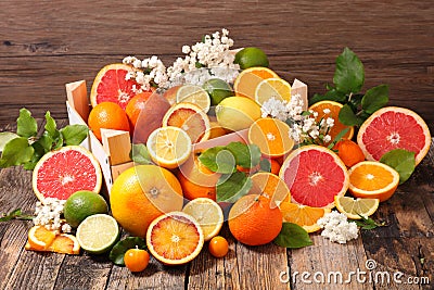 Assorted citrus fruit Stock Photo