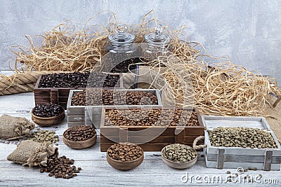 Assorted coffee beans. Various kinds of coffee in box. Assorted single origin gourmet coffees with roasted and raw beans and Stock Photo