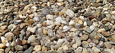 Assorted colorful and smooth pebbles from the beach. Banner. Small and large gravel. Natural background Stock Photo