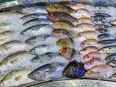 Assorted fish good arrangement frozen on ice at seafood market Stock Photo