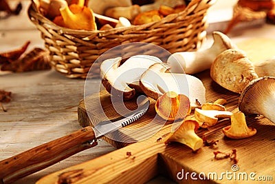 Assorted fresh autumn fungi Stock Photo