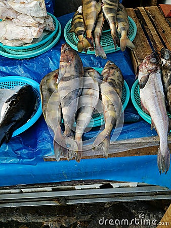 Assorted fresh fish displayed for sale in South Korean market Stock Photo