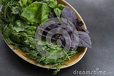 Assorted greens dill leaves spinach parsley cilantro Stock Photo