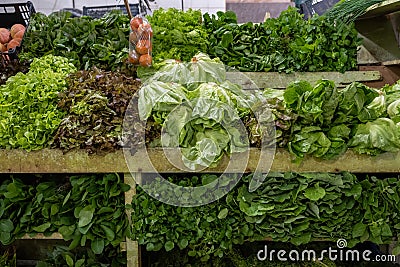 Assorted greens in a tropical market Stock Photo