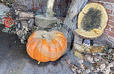 Assorted halloween pumpkins Stock Photo