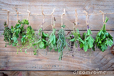 Assorted hanging herbs ,parsley ,oregano,mint,sage,rosemary,sweet basil,holy basil, and thyme for seasoning concept on rustic Stock Photo