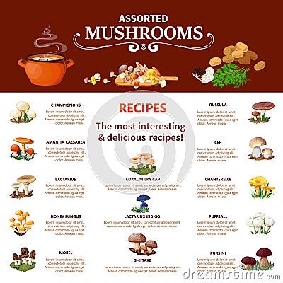 Assorted Mushrooms Infographics Vector Illustration