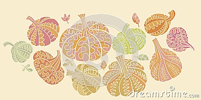 Assorted pumpkins. Autumn pumpkins silhouette Vector Illustration