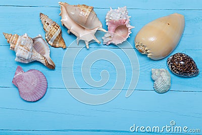 Assorted seashells on blue wooden background, flat lay, copyspace Stock Photo