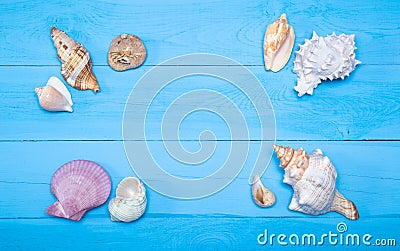Assorted seashells on blue wooden background, flat lay, copyspace Stock Photo