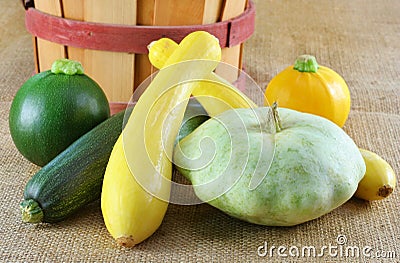 Assorted Summer Squash Stock Photo