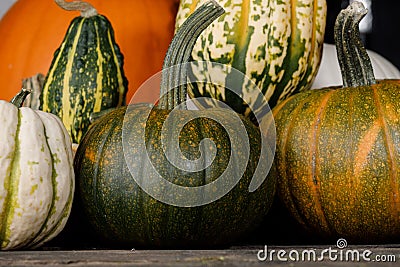 Assortiment of pumpkins background Stock Photo