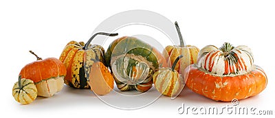Assortiment of pumpkins on white Stock Photo