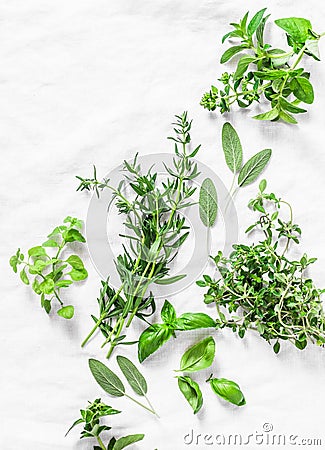 Assortment of aromatic garden herbs on a light background-tarragon, thyme, oregano, basil, sage, mint. Healthy ingredients, top vi Stock Photo