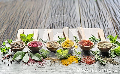 Assortment of colorful spices in the wooden spoons Stock Photo