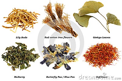 Assortment of Dried Herbal Tea Stock Photo