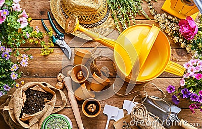 Garden tools and plants for potting into pots Stock Photo