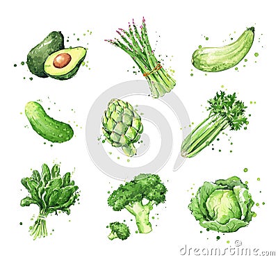 Assortment of green foods, watercolor vegtables illustration Cartoon Illustration