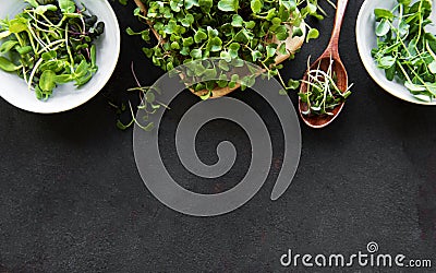 Assortment of micro greens at black background copy space top view. Stock Photo