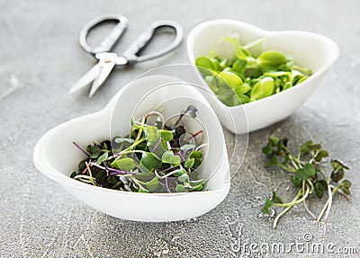 Assortment of micro greens Stock Photo