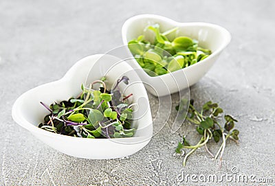 Assortment of micro greens at concrete background, top view. Stock Photo