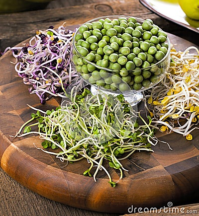 Assortment of micro greens. Growing kale, alfalfa, sunflower, ar Stock Photo