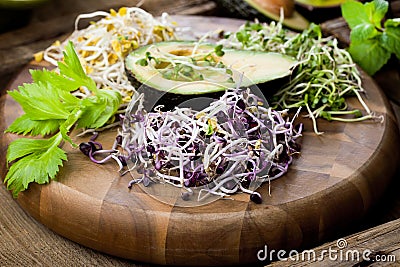 Assortment of micro greens. Growing kale, alfalfa, sunflower, ar Stock Photo