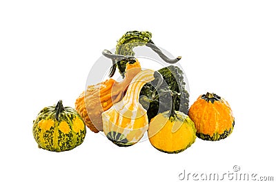 Assortment of pumpkins, gourds. Isolated over white background Stock Photo