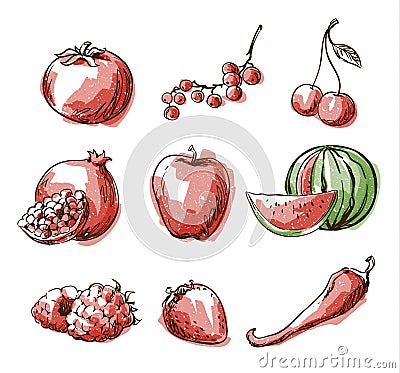 Assortment of red foods, fruit and vegtables, vector sketch Vector Illustration