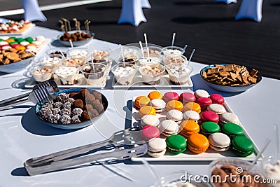 Assortment of tasty appetizers - canapes, cookies on the white tablecloth Stock Photo