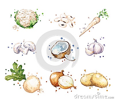 Assortment of white, light color foods, watercolor fruit and vegetables Stock Photo
