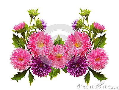 Aster flowers in arrangement Stock Photo