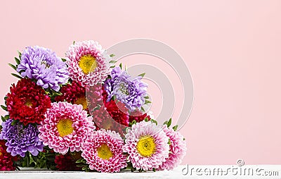 Aster flowers Stock Photo