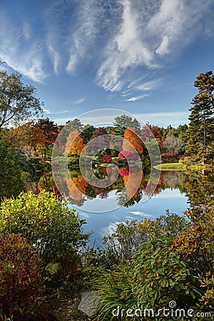 Asticou Azalea Garden Stock Photo