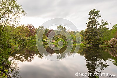 Asticou Azalea Gardens - Maine Stock Photo