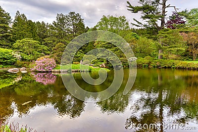 Asticou Azalea Gardens - Maine Stock Photo