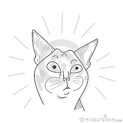 Astonished Burmese cat - black white drawing Vector Illustration