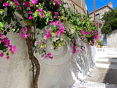 Astonishing view on the streets of Poros Stock Photo
