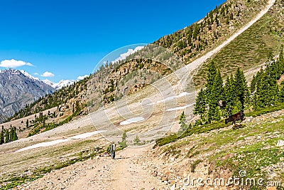 Astore Rama Meadows 25 Stock Photo