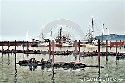 Astoria, Oregon - 9/17/17- fishing boats docked at harbor with sea lions resting on the docks Editorial Stock Photo