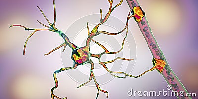 Astrocyte and blood vessel Cartoon Illustration