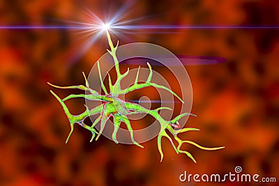 Astrocyte, a brain glial cell Cartoon Illustration