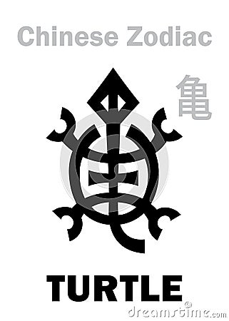 Astrology: TURTLE / TORTOISE (sign of Chinese Zodiac) Vector Illustration