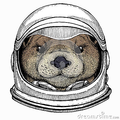 Vector portrait of otter. Head of wild animal. Astronaut animal. Vector portrait. Cosmos and Spaceman. Space Vector Illustration