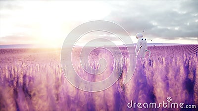 Astronaut met vlinders op lavendelgebied Concept toekomst uitzendings Realistische 4k animatie royalty-vrije illustratie Astronaut met vlinders op lavendelgebied Concept toekomst uitzendings Realistische 4k animatie royalty-vrije illustratie