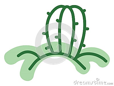 Astrophytum cactus, icon Vector Illustration