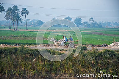 Aswan, Egypt, 24th of December 2018: Daily life on the riverside Nile in Egypt. Poor people living Editorial Stock Photo