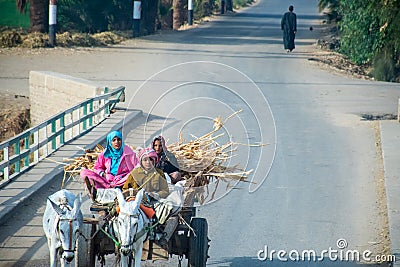 Aswan, Egypt, 24th of December 2018: Daily life on the riverside Nile in Egypt. Poor people living Editorial Stock Photo